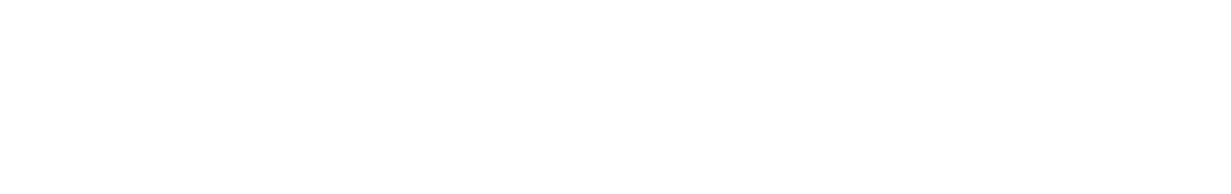 Polimi Logo